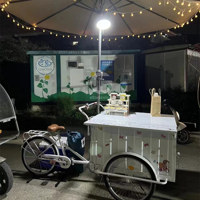 200kg Capacidade Cor Personalizada Carrinho de Fast Food Bicicleta Caminhão Elétrico de Gelados de Alimentos