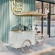 200kg Capacidade Cor Personalizada Carrinho de Fast Food Bicicleta Caminhão Elétrico de Gelados de Alimentos