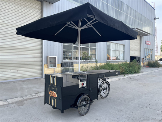 Triciclo elétrico de alimentação com painel solar para operação fácil e conveniente 277*210*70cm