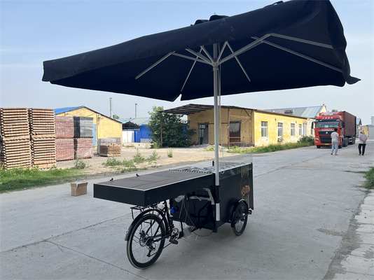 Triciclo elétrico de alimentação com painel solar para operação fácil e conveniente 277*210*70cm