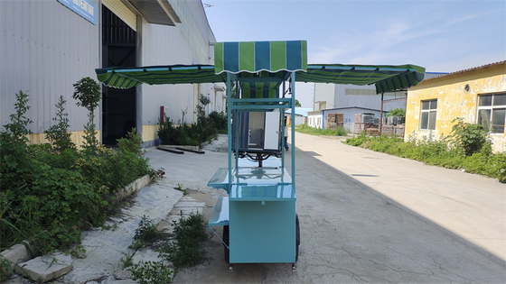 Triciclos de tensão personalizados Bicicleta Container Food Truck com 0-10000 Voltage
