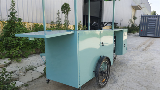 Triciclos de tensão personalizados Bicicleta Container Food Truck com 0-10000 Voltage