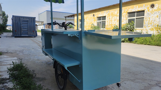 Triciclos de tensão personalizados Bicicleta Container Food Truck com 0-10000 Voltage