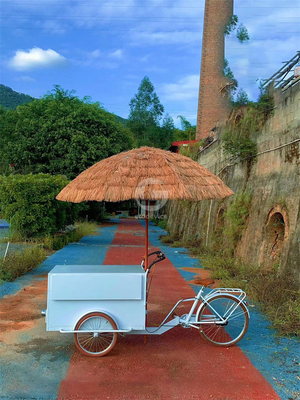 Carrinho de comida móvel de 3 rodas de sorvete bicicleta triciclo com qualquer seleção de variação de cor