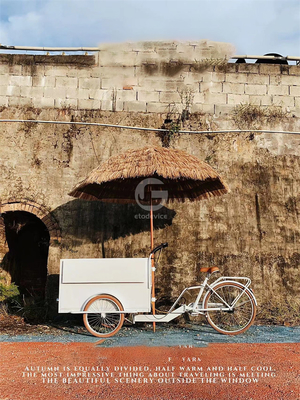 Carrinho de comida móvel de 3 rodas de sorvete bicicleta triciclo com qualquer seleção de variação de cor