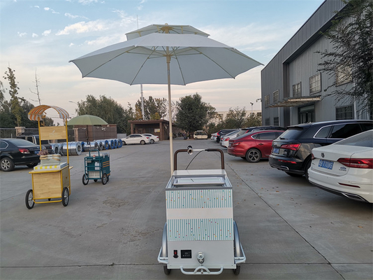 220V/380V Voltage Bike Trailer Cart para venda de sorvete e frutas frescas