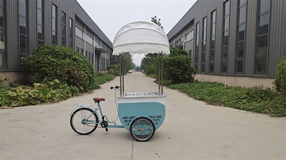 Voltagem 48V Bike Outdoor Food Cart Tricycle Mall Kiosk Carrinho de sorvete móvel elétrico