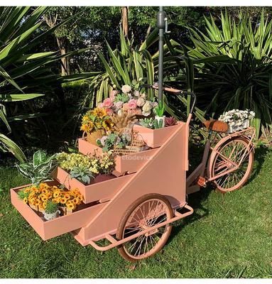 Instalação de transformação de vegetais Carrinho de bicicleta móvel de café com L200.00cm*W95.00cm*H110.00cm