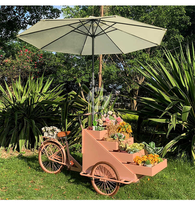 Instalação de transformação de vegetais Carrinho de bicicleta móvel de café com L200.00cm*W95.00cm*H110.00cm