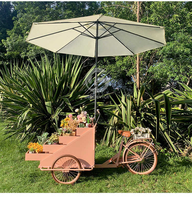 Instalação de transformação de vegetais Carrinho de bicicleta móvel de café com L200.00cm*W95.00cm*H110.00cm