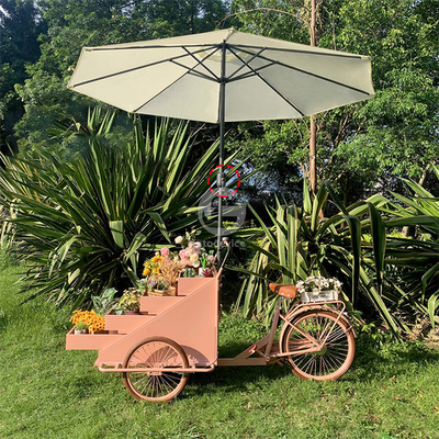 Recreação Equipamento de fast food Bicicleta de comida Venda de caminhão com personalização aceitável 80kg
