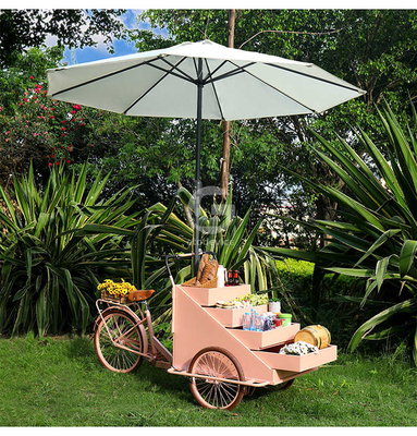 Recreação Equipamento de fast food Bicicleta de comida Venda de caminhão com personalização aceitável 80kg
