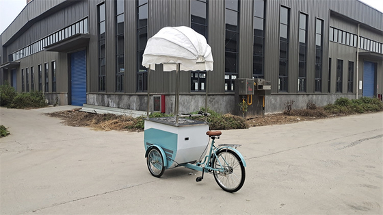 Triciclo Elétrico 3 Rodas Carrinho Móvel para Sorvete Café Pedal Congelador Bicicleta Entrega