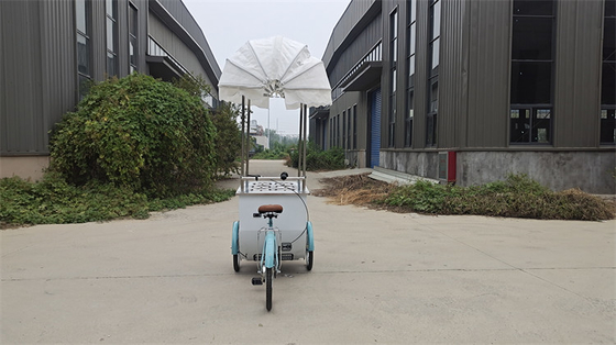 Triciclo Elétrico 3 Rodas Carrinho Móvel para Sorvete Café Pedal Congelador Bicicleta Entrega