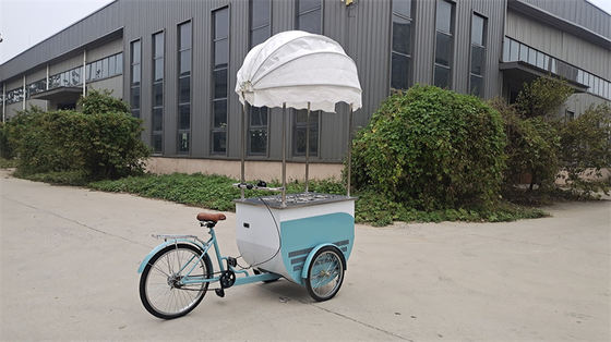 Triciclo Elétrico 3 Rodas Carrinho Móvel para Sorvete Café Pedal Congelador Bicicleta Entrega