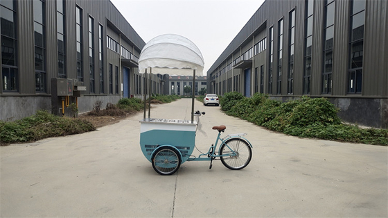 Triciclo Elétrico 3 Rodas Carrinho Móvel para Sorvete Café Pedal Congelador Bicicleta Entrega