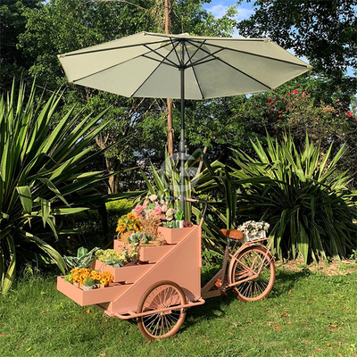 Carrinho de comida ao ar livre com matéria-prima de soja e bicicleta de carga elétrica de três rodas