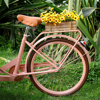 Carrinho de comida ao ar livre com matéria-prima de soja e bicicleta de carga elétrica de três rodas