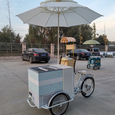 100kg Classic Ice Cream Bike Fast Food Trailer Truck Tricycle para planta de temperos