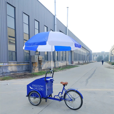 Vegetais personalizáveis Bicicleta de comida elétrica para venda de alimentos de rua e carrinho de cigarros