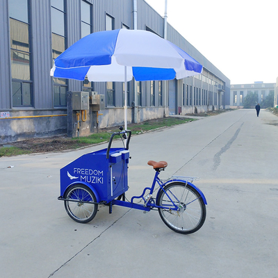 Capacidade de carga de 70 kg Pedal elétrico Carrinho de bicicleta de três rodas com serviço personalizado