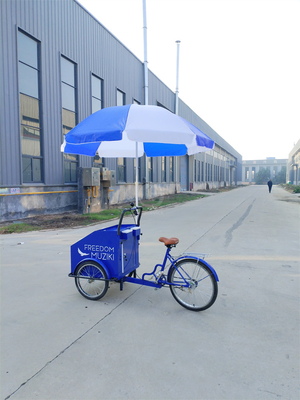Capacidade de carga de 70 kg Pedal elétrico Carrinho de bicicleta de três rodas com serviço personalizado