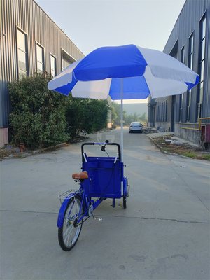 Capacidade de carga de 70 kg Pedal elétrico Carrinho de bicicleta de três rodas com serviço personalizado