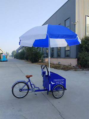 Capacidade de carga de 70 kg Pedal elétrico Carrinho de bicicleta de três rodas com serviço personalizado