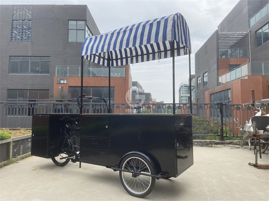 Caminhão Móvel de Alimentos Caminhão de Bicicleta Caminhão de Venda de Triciclos para o Seu Negócio