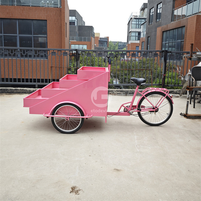 Bicicleta de Pão Elétrica Personalizada Triciclo Móvel OEM para Vegetais e Frutas em Conservas