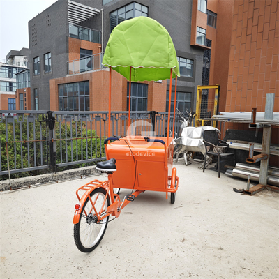 Bicicleta de venda de viagens ao ar livre com triciclo de carga personalizado