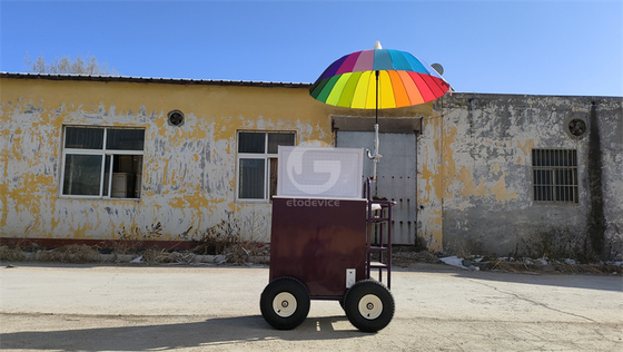 220v/110v Carrinho móvel para gelados Concessão frigorífico congelador na fábrica de temperos