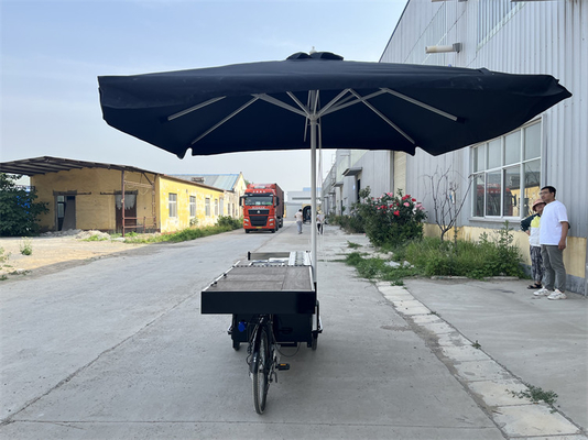 220V/110V Carrinho de três rodas OEM Café Street Foldable Tricycle waffle crepe Cargo Bike