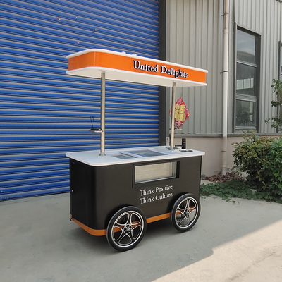 Gelato Elétrico Push Food Hand Push Refrigerado Popsicle Beach Freezer Carrinho de Sorvete