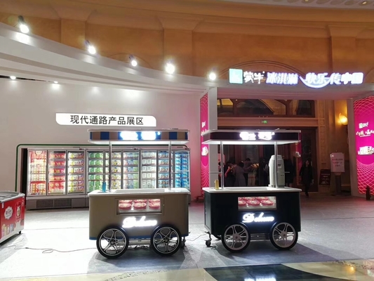 Carrinho de gelado móvel Carrinho de gelado com rodas para venda