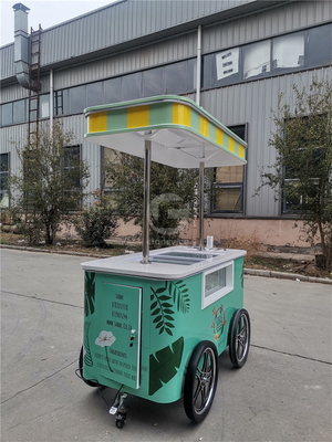 Cartão de exposição comercial de sorvete mini congelado Gelato Mexican Beach Ice Cream Freezer Carrinho de mão Carrinhos de empurrão para sorvete