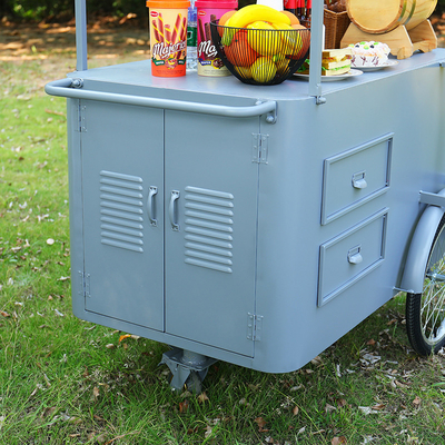 Custom 3 Wheel Cargo Bike Hand Push Cart Bike Street Food Delivery com display Freezer para venda