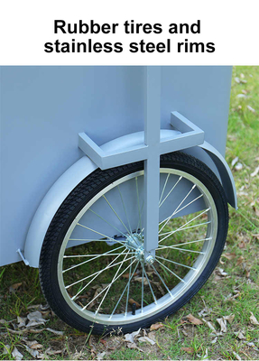 Custom 3 Wheel Cargo Bike Hand Push Cart Bike Street Food Delivery com display Freezer para venda