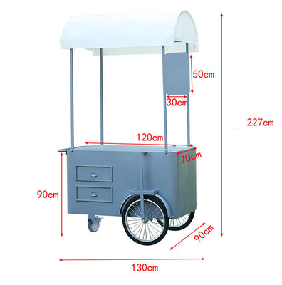 Custom 3 Wheel Cargo Bike Hand Push Cart Bike Street Food Delivery com display Freezer para venda