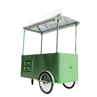Custom 3 Wheel Cargo Bike Hand Push Cart Bike Street Food Delivery com display Freezer para venda