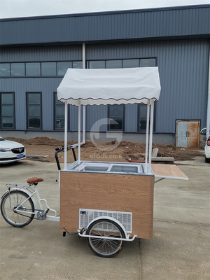 O impulso para a sustentabilidade Bicicletas de bebidas personalizadas para o seu carrinho de comida móvel
