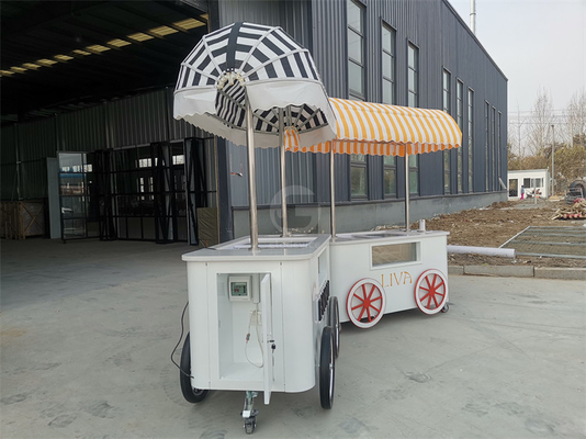 Carrinho de Venda de Sorvete de Praia Carrinho de Sorvete com Vitrine de Exibição de Frigorífico