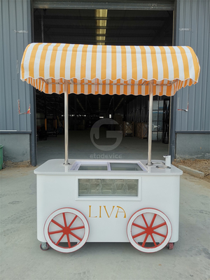 Carrinho de Venda de Sorvete de Praia Carrinho de Sorvete com Vitrine de Exibição de Frigorífico