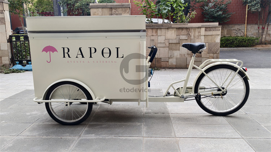 Estilo Sustentável Bicicletas Ecológicas Para Hotéis Urbanos Cor Personalizada