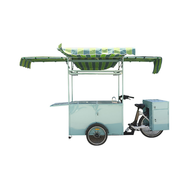 Cozinha Elétrica Comida Gelado Caminhão Triciclo Para Carga Sua Escolha Perfeita