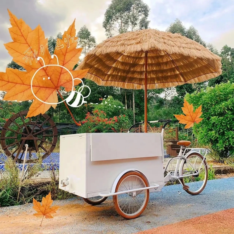 Carrinhos móveis de comida bicicletas bicicletas nozes lanche carrinho de comida com e carrinho móvel de cachorro quente