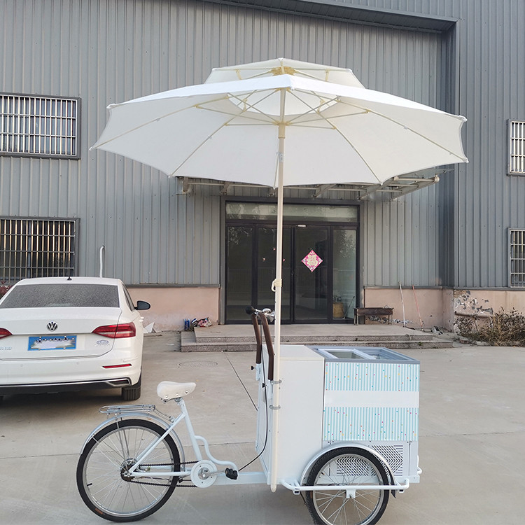 214*83*240cm Móvel Pequeno Sorvete Triciclo Bolo Quiosque Cerveja Trike Fast Food Bicicleta Após o Serviço Apoio Online