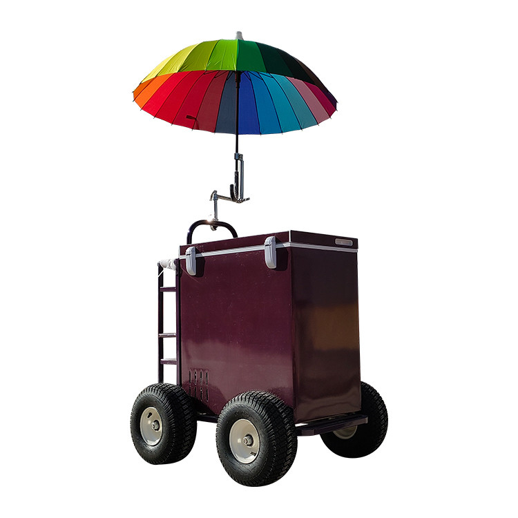 Carrinho de vitrine de pequena exibição com função de resfriador Carrinho de reboque personalizado em qualquer cor