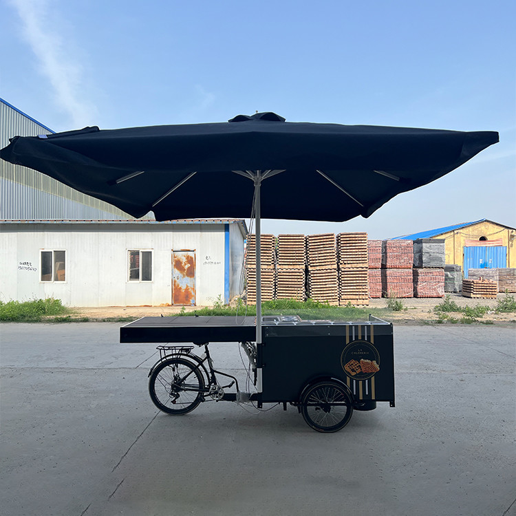 220V/110V Carrinho de três rodas OEM Café Street Foldable Tricycle waffle crepe Cargo Bike
