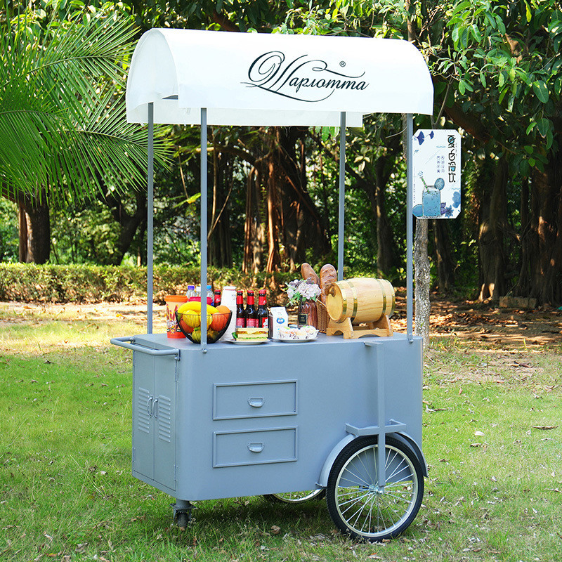 Custom 3 Wheel Cargo Bike Hand Push Cart Bike Street Food Delivery com display Freezer para venda